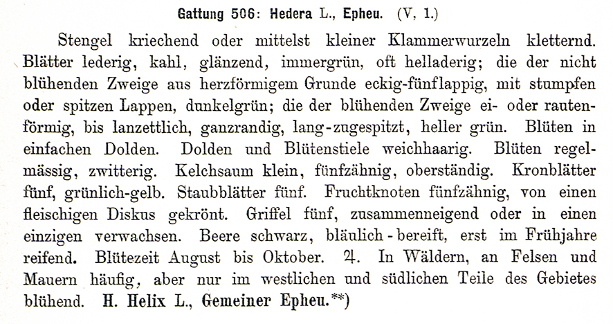 Fotos: Copyright Dr. Waltraud Neuwirth, Wien

Weitere Rätselbilder finden Sie HIER!

VIELE MEINER WIENERWALD-WANDERUNGEN FINDEN SIE HIER

Danke für Ihr Interesse an meiner Website! Wenn Sie meine aktuellen Nachrichten erhalten wollen, schreiben Sie mir bitte unter:

waltraud.neuwirth1@chello.at

